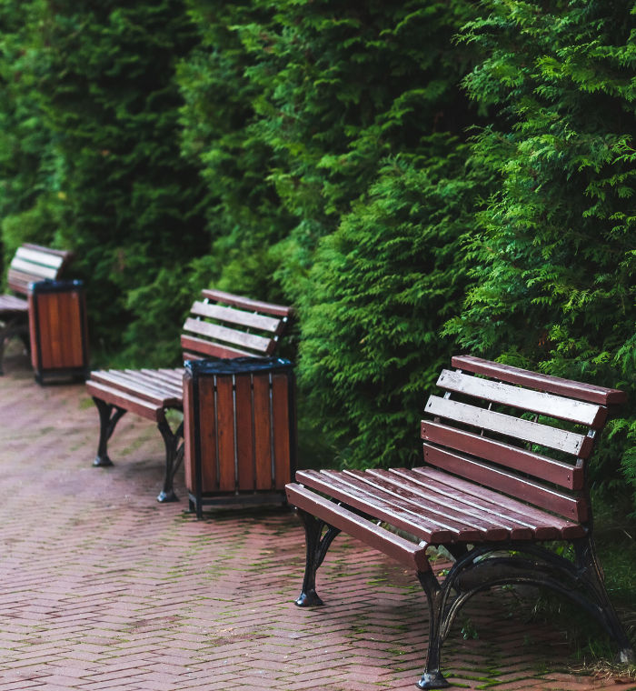 Benches in the park surrounded by juniper, spruce